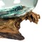 Hand Blown Molten Glass Bowl Terrariums on Driftwood Base – Decorative Planters